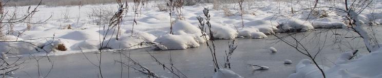 Banner-seifenshop-winter2